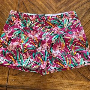 Crown & Ivy Caroline shorts - size 16 - EUC